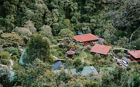 Trogon Lodge Costa Rica
